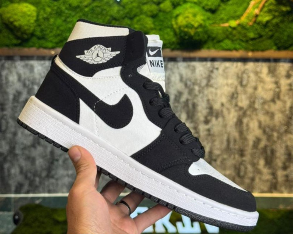  جردن ساقدار 