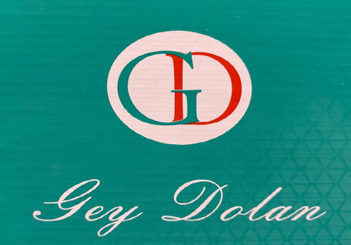 کفش گیدولان