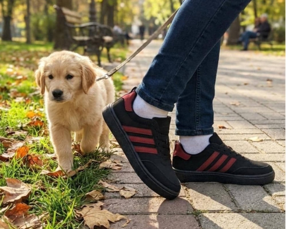  کد 108 آدیداس 