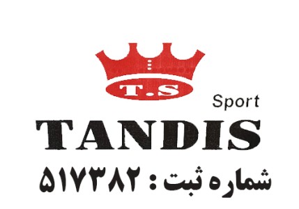 کفش تندیس