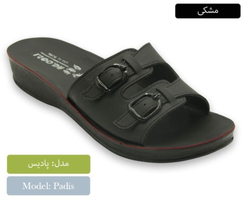  پادیس 