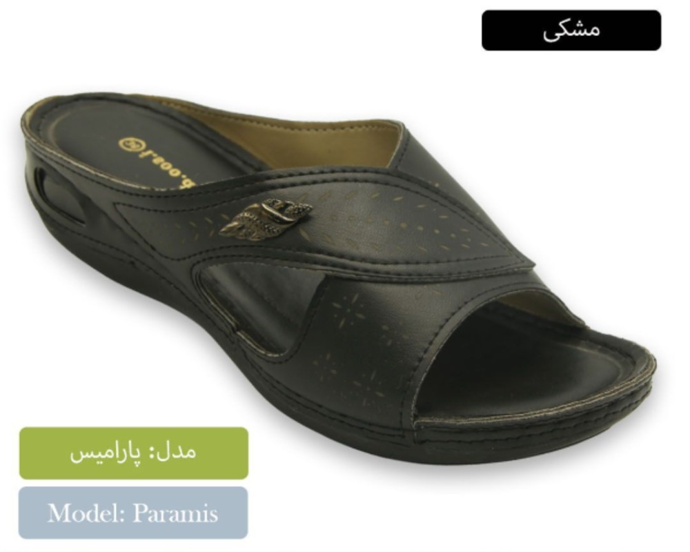 پارامیس 