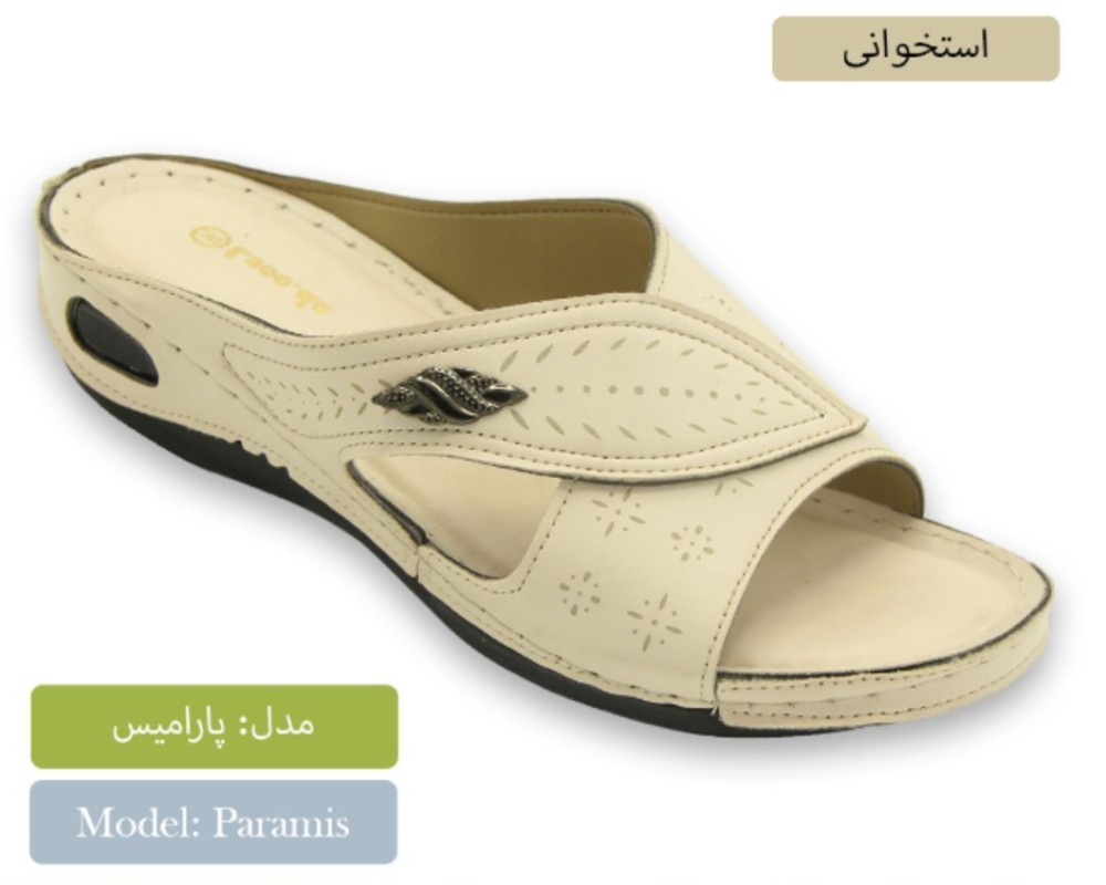  پارامیس 