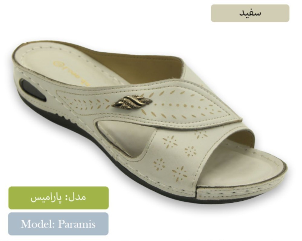  پارامیس 