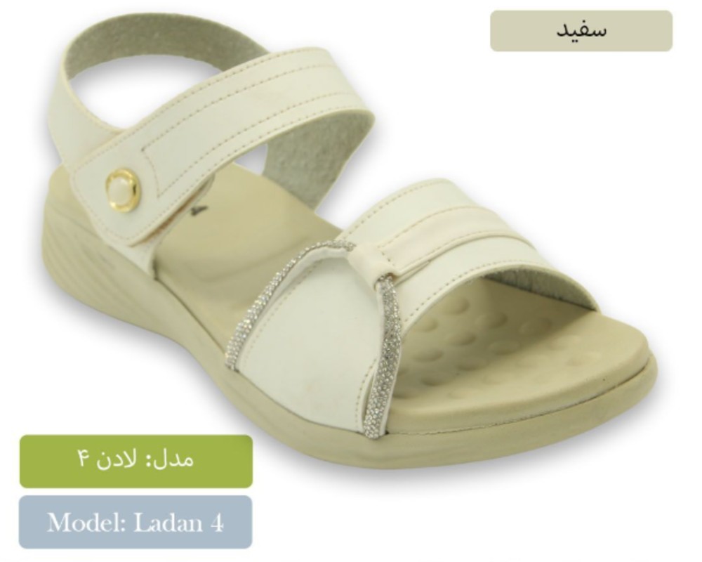  لادن 4 