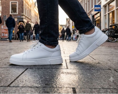 مدل ونس
