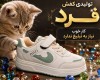  میو 