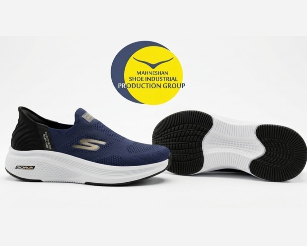  اسکیچرز go run 