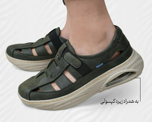 زینتا