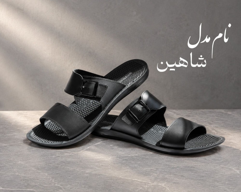  شاهین 