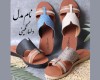  دلسا نگینی 
