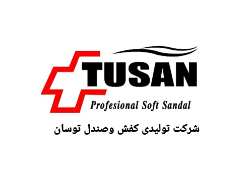 کفش توسان