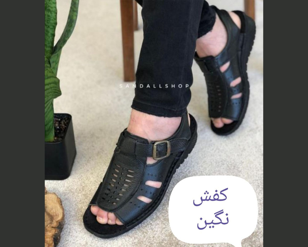 کلارک پی 
