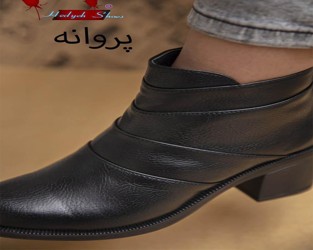  کفش پروانه 