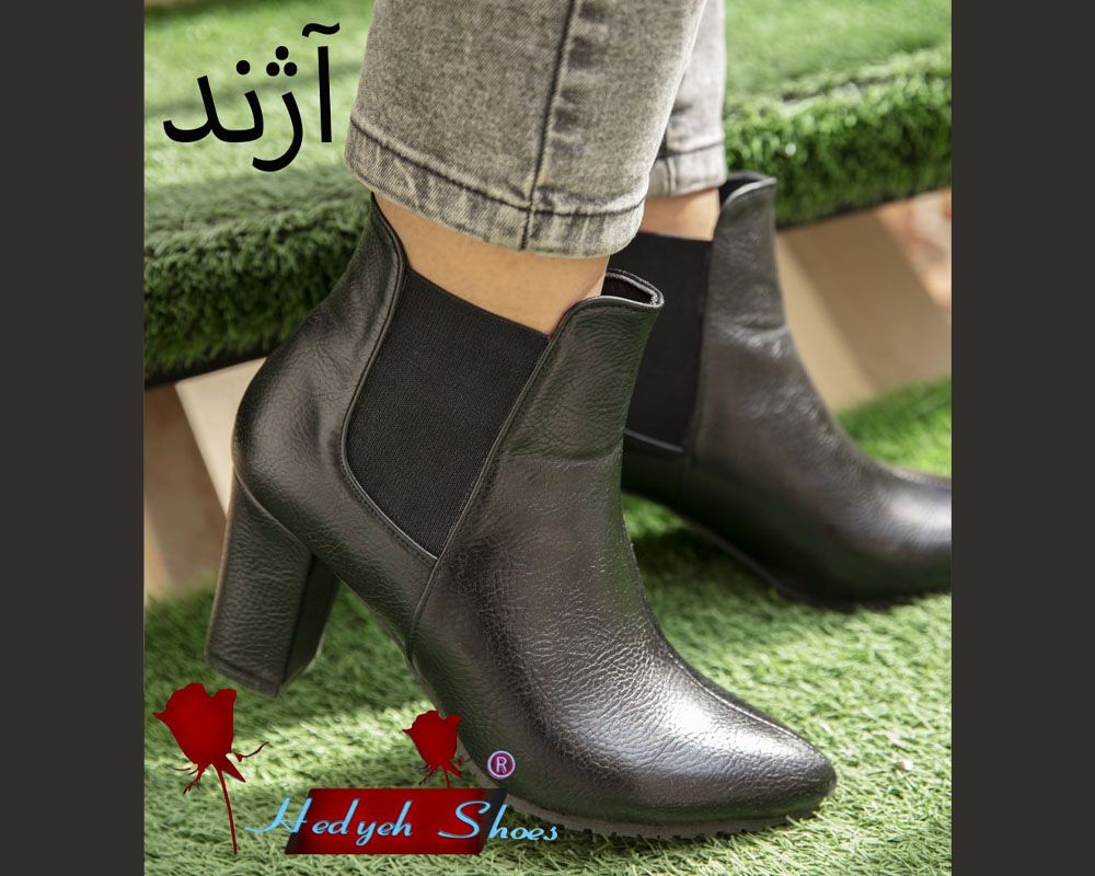  بوت نازیلا 