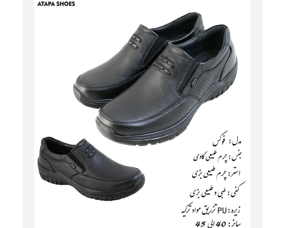  فوکس 