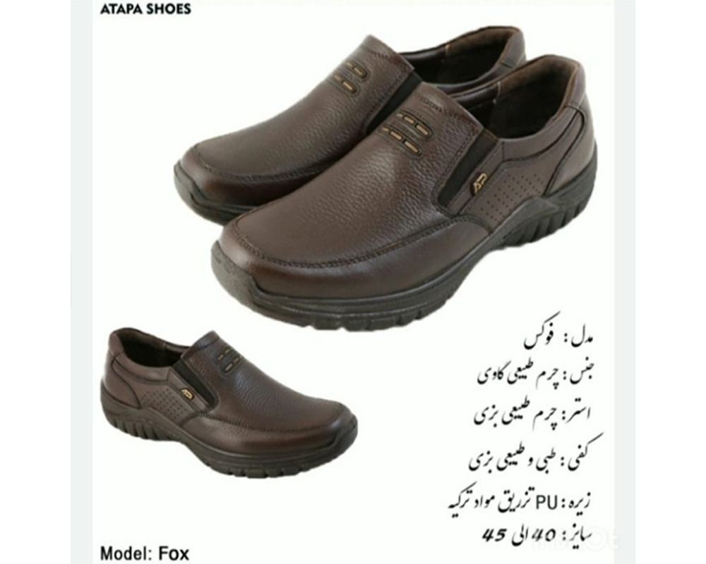  فوکس 