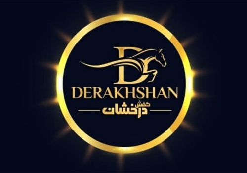 کفش درخشان