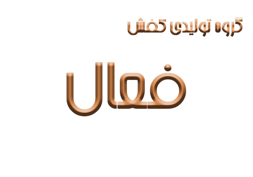 کفش فعال
