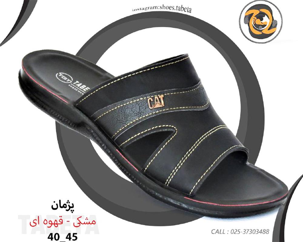  پژمان 