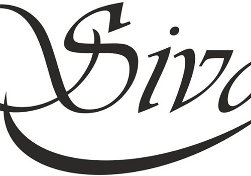 کفش سیوا