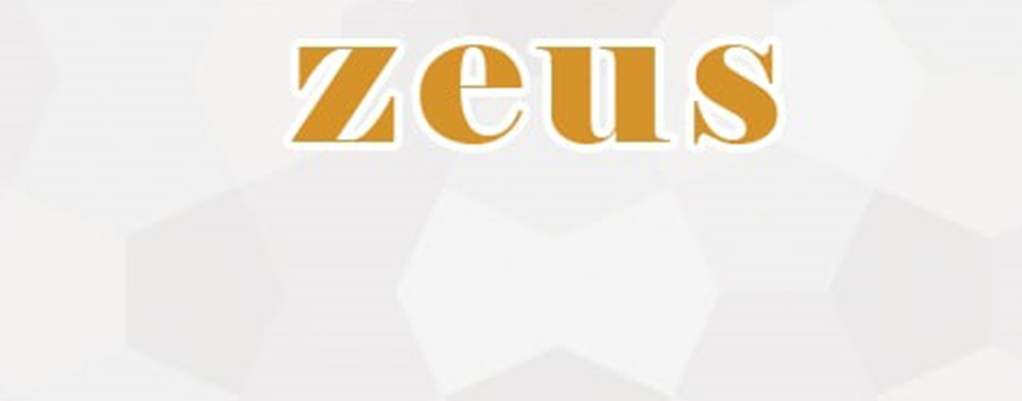 کفش زئوس