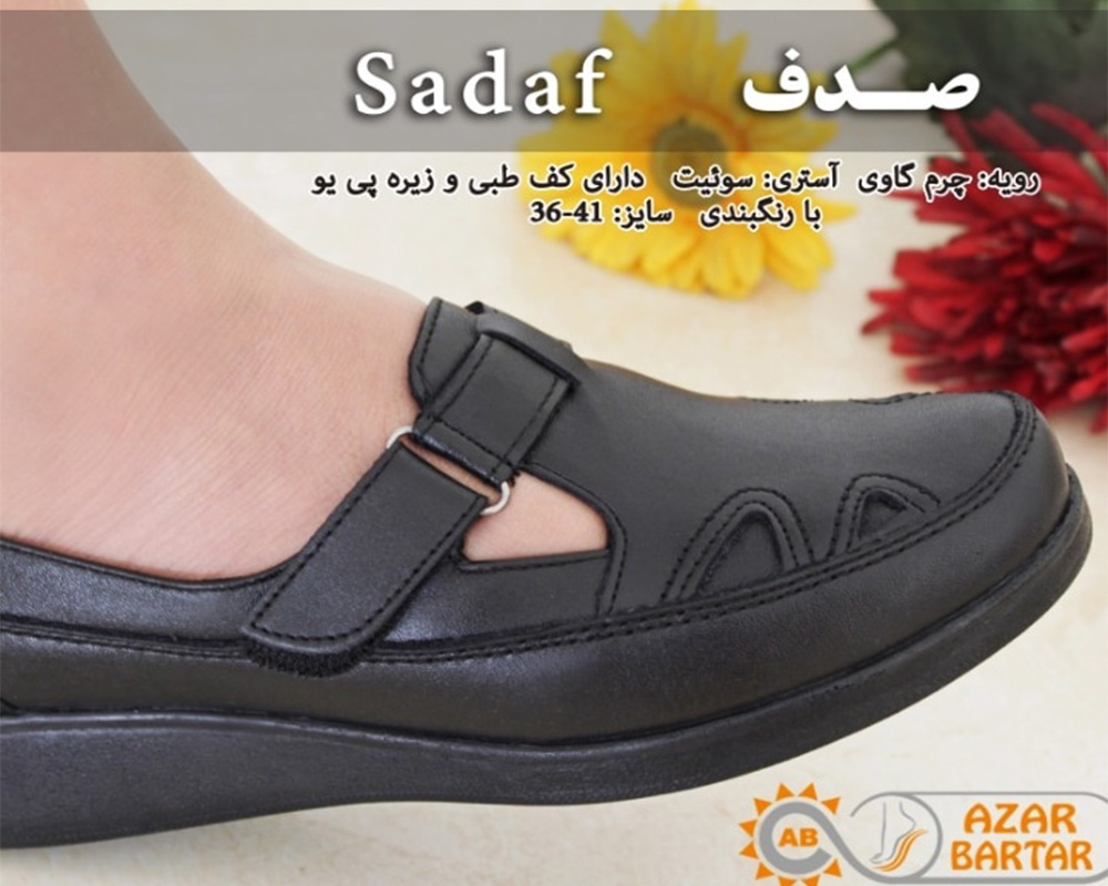  صدف 