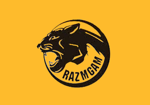 کفش رزم گام