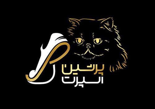 کفش پرشین اسپرت