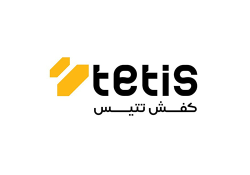 کفش تتیس