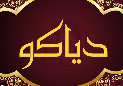کفش دیاکو