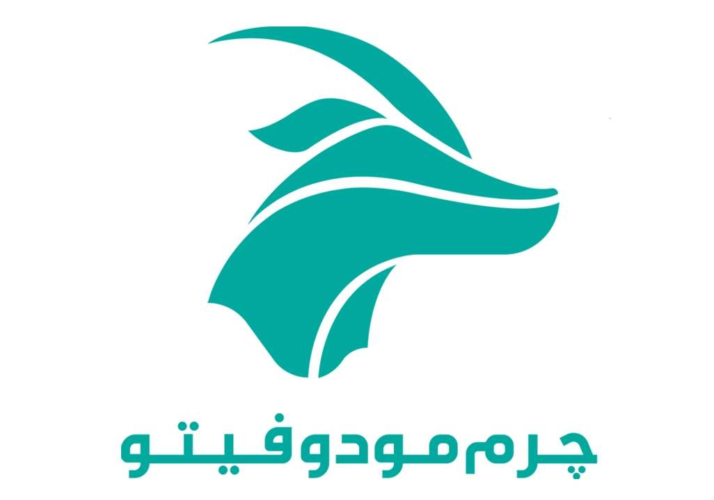 کفش مودوفیتو