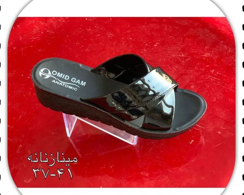  مینا 