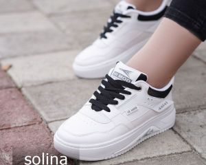  سولینا 