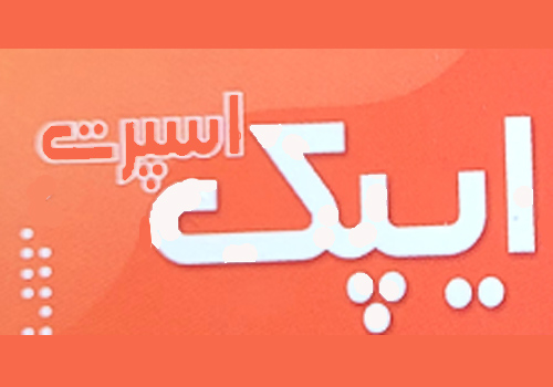 کفش ایپک
