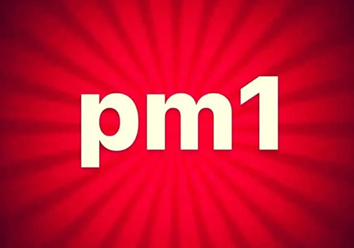 کفش پی ام 1 (PM1)