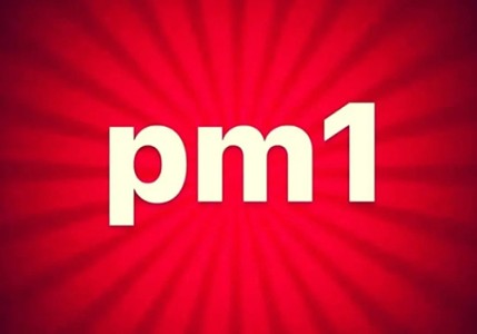 کفش پی ام وان (PM1)