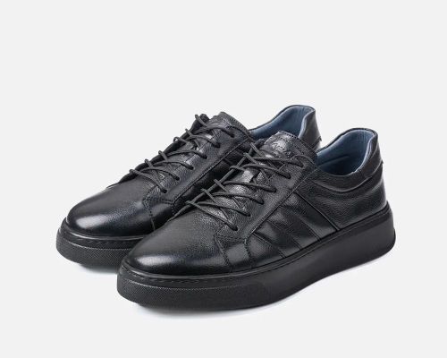  vans2024 
