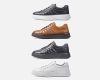  vans2024 